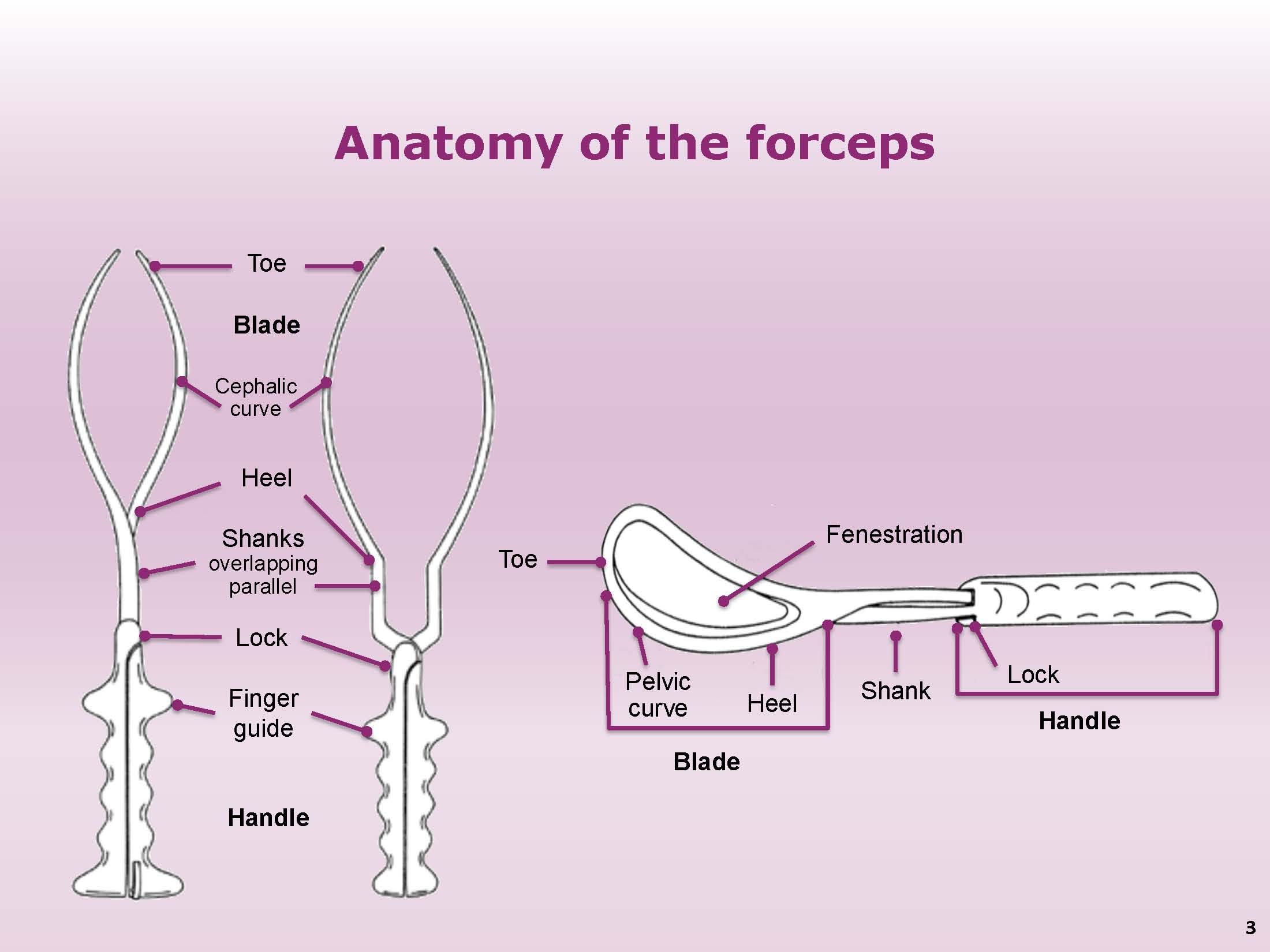 Forceps Delivery Resource Tutorial GLOWM